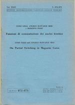 Funzioni di commutazione dei nuclei ferritici - On Partial Switching in Magnetic Cores