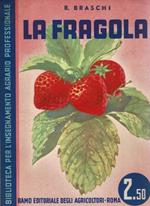 La fragola