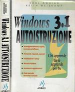 Windows 3.1 autoistruzione