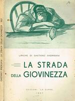 La strada della giovinezza