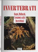 Invertebrati. Ragni, molluschi, scorpioni e altri invertebrati