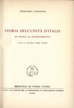 Storia dell'unità d'Italia. da Roma al Risorgimento