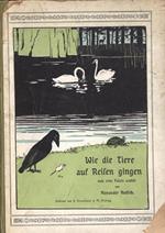 Wie die Tiere auf Reilen gingen. Nach alten Fabeln erzahlt