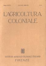 L' agricoltura coloniale-Anno XXVII n. 6