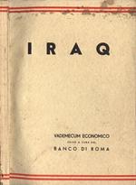 Iraq. Vademecum economico