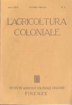 L' agricoltura coloniale-Anno XXX n. 6. Rivista mensile dell'Istituto Agricolo Coloniale Italiano