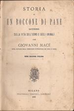 Storia di un boccone di pane. lettere sulla vita dell’uomo e degli animali