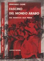 Fascino del mondo arabo. Dal Marocco alla Persia