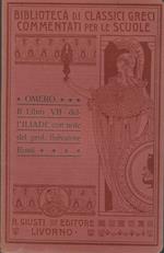 Il libro VII dell'Iliade