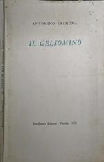 Il Gelsomino