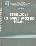 L' esecuzione nel nuovo processo penale