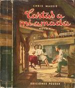 Cartas a mi amada (novela)