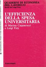 L' efficienza della spesa universitaria