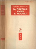 La fiaccola sotto il moggio