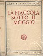 La fiaccola sotto il Moggio