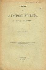 Fosiles de la formacione petrolifera e Sistema de Salta. Estratto dal Boletin de la Academia Nacional de Ciencias en Cordoba tomo XXX paginas 51-116