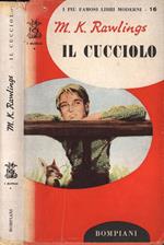 Il cucciolo