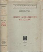 Diritto nordamericano del lavoro