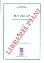 Il capriolo. Lineamenti di biologia e gestione