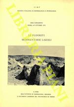 Le fluoriti sedimentarie laziali.Le fluoriti sedimentarie laziali: lineamenti geologici dei giacimenti. Ipotesi e problemi genetici