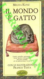 Il mondo è gatto. Ediz. illustrata