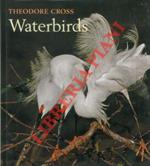 Waterbirds