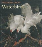 Waterbirds