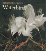 Waterbirds