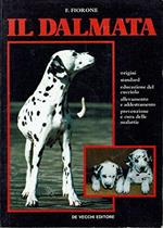 Il dalmata