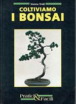 Coltiviamo I Bonsai