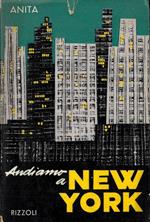 Andiamo a New York. La vita intima della grande metropoli