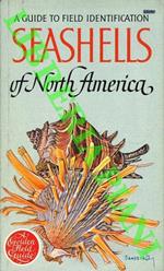 Seashells of North America