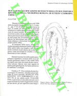 Due casi di calcificazione di tessuti molli in due individui rinvenuti nella necropoli romana di Iutizzo (Codroipo, Udine)