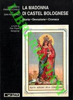 La Madonna di Castel Bolognese. Storia - Devozione - Cronaca