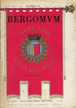 Studi Garibaldini, n.4. Supplemento a Bergomum vol. XXXVII