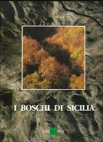 I boschi di Sicilia