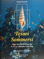 Tesori sommersi. Rare sea shells from the F. & A. Colombo Collection