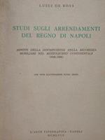 Studi sugli arrendamenti del regno di Napoli. Aspetti della distribuzione della ricchezza mobiliare nel mezzogiorno continentale (1649-1806)