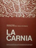 La Carnia. Quaderno Di Documenti Per La Mostra Internazionale D'Arte Contemporanea Sulla Pianificazione Urbanistica E Architettonica Del Territorio Alpino. Comune Di Trieste. Civico Museo Revoltella - Galleria D'Arte Moderna