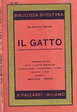 Il gatto