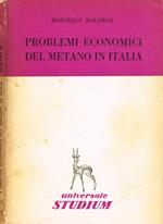 Problemi economici del metano in Italia