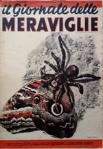 Il Giornale delle Meraviglie. N. 63, 9 giugno 1938, Anno II - In questo numero: Fuoco tra i ghiacci - La città di Salomone: Palmira, la grande ambiziosa - Ore nel mondo - Il mirtillo azzurro - La stabilità automatica - Zoo: Orsi che non sono orsi