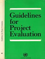 Guidelines for project evaluation