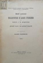 Dell'azione del nucleoproteide di sangue eterogeneo sul numero e la proporzione dei globuli rossi e dei globuli bianchi