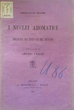 I nuclei aromatici nelle molecole dei derivati del metano. Tesi di laurea