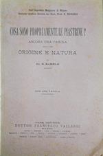 Cosa sono propriamente le piastrine?. Ancora una parola sulla loro origine e natura