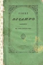 Fiore di campo