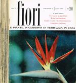 Fiori e piante. In giardino in terrazza in casa. Rivista mensile anno III