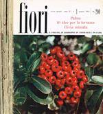 Fiori e piante. In giardino in terrazza in casa. Rivista mensile anno IV