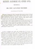 Ricerche anatomiche sul genere Govia. Estratto da Memorie della R.Accademia delle scienze dell'Istituto di Bologna anno 1886 tomo VII